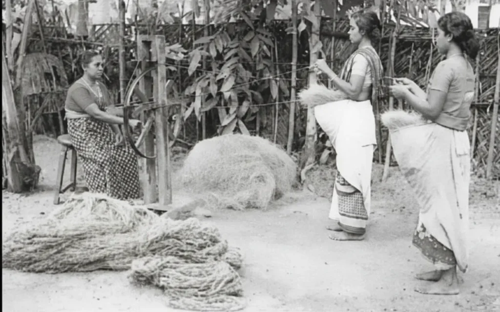 Vintage photo of coir ratt: three women making coir rope from coir fibers using traditional ratt technique – cultural heritage and traditional rope making process in Kerala, India