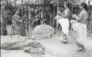 Vintage photo of coir ratt: three women making coir rope from coir fibers using traditional ratt technique – cultural heritage and traditional rope making process in Kerala, India